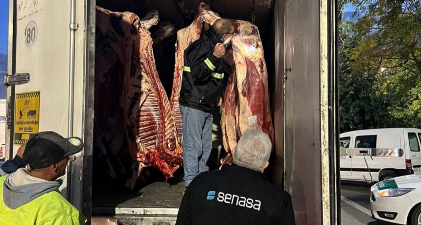 Verificaci&oacute;n de las condiciones higi&eacute;nico-sanitarias en el traslado de productos c&aacute;rnicos