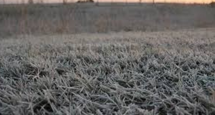 Heladas: qu&eacute; dice el pron&oacute;stico para el pr&oacute;ximo trimestre