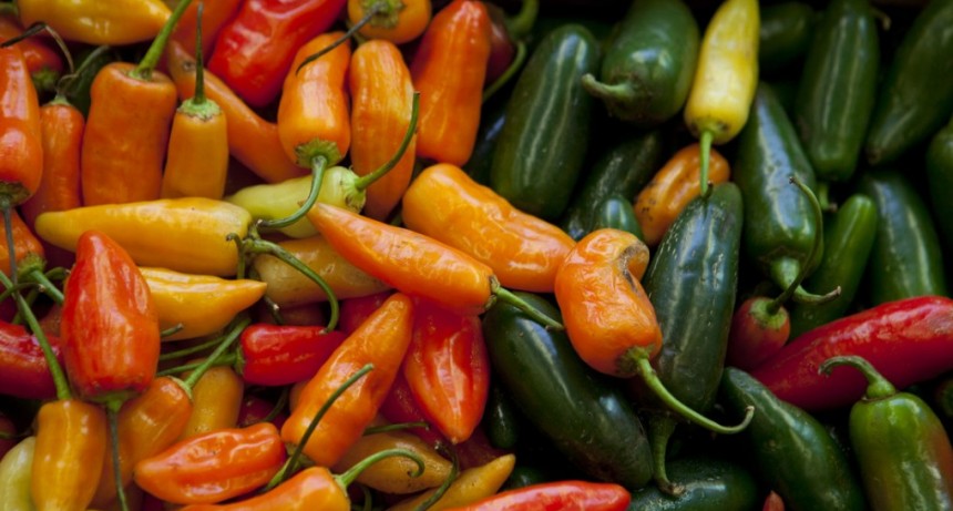 Las buenas pr&aacute;cticas agr&iacute;colas son esenciales para la producci&oacute;n de hortalizas