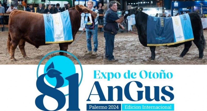 Optimismo de los consignatarios para los remates de la 81&ordf; Expo Angus de Oto&ntilde;o