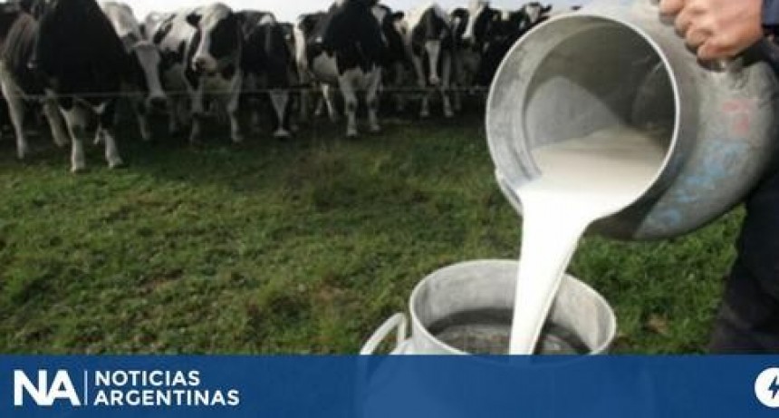 Advierten que la producci&oacute;n de leche es la m&aacute;s baja en los &uacute;ltimos cinco a&ntilde;os