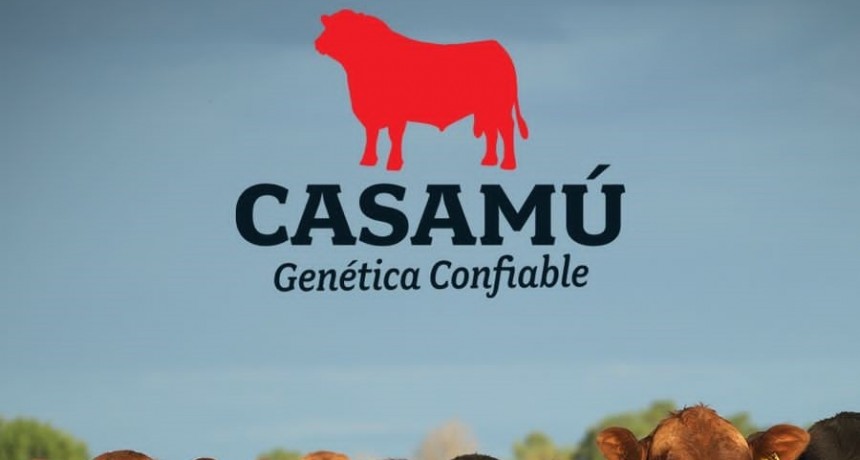 Este mi&eacute;rcoles se realiza el remate de Casam&uacute;