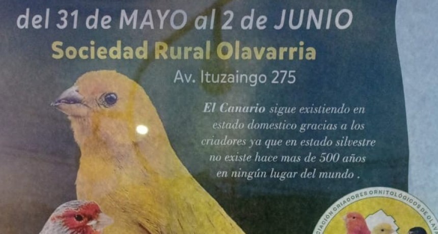 Se realiza la tercera exposici&oacute;n de Canaricultura en la Rural