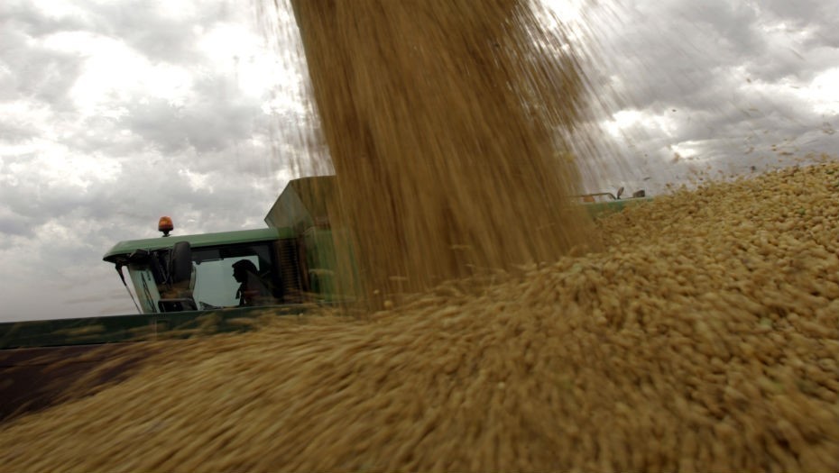 La producción de soja en alza, alcanzaría las 50 millones de toneladas