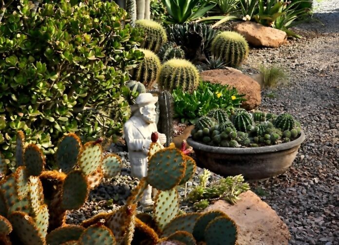 Cactus bonaerenses, pequeños gigantes que enamoran