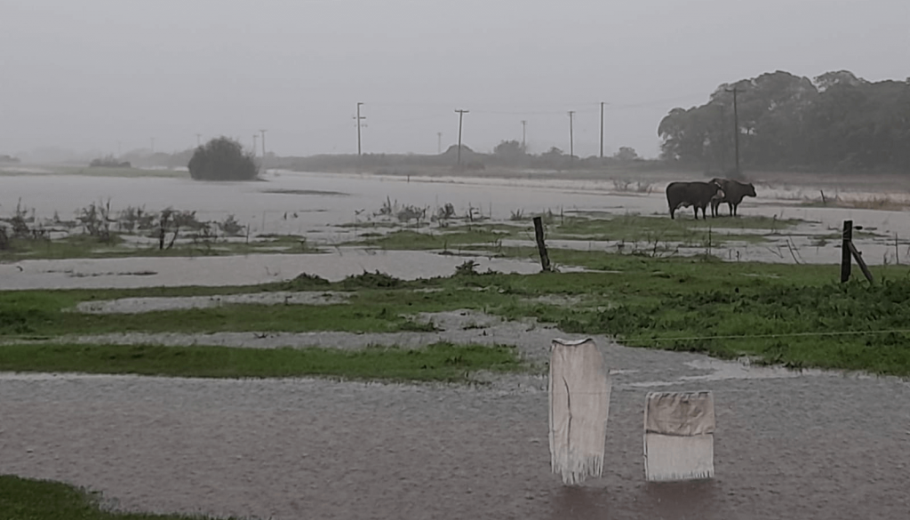 Más lluvias y suelos saturados en el norte bonaerense