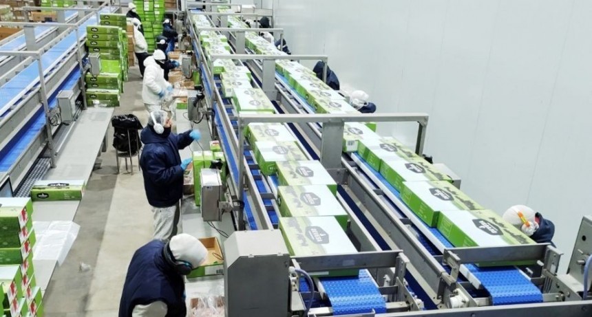 Ola de despidos en el frigor&iacute;fico de Azul