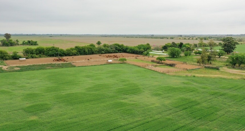 Mercado inmobiliario rural: &ldquo;Todo indica que los activos, incluida la tierra, van a mejorar su valor&rdquo;