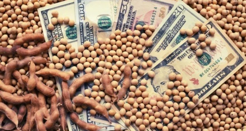 Dato clave para el plan econ&oacute;mico del gobierno: el campo liquid&oacute; en abril un 32% m&aacute;s