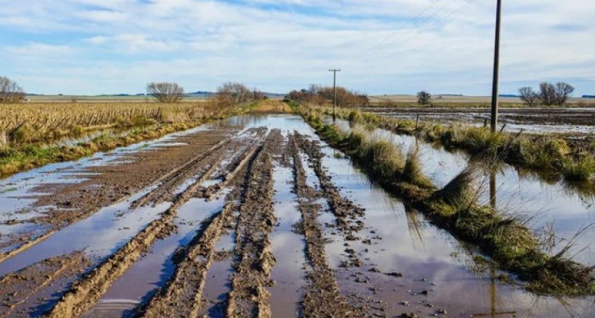 Azul: piden reuni&oacute;n con la Mesa Vial por la situaci&oacute;n de los caminos rurales