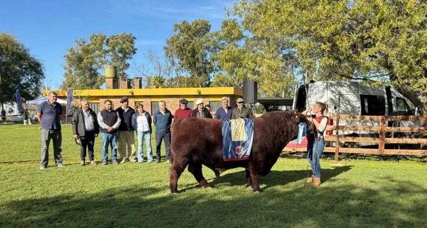 El Shorthorn vivi&oacute; su Expo de Oto&ntilde;o en la Sociedad Rural de Azul