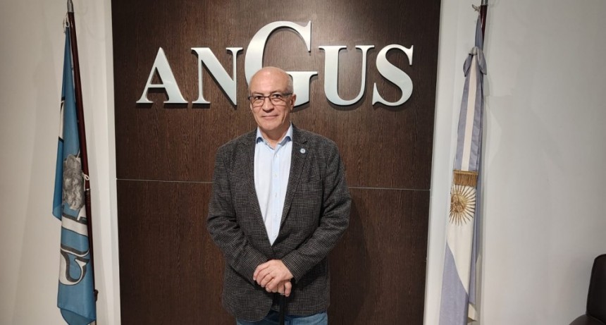 &ldquo;Es un momento de muy buenos precios para ganader&iacute;a en Argentina&rdquo;