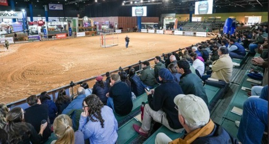 Destacada participaci&oacute;n de j&oacute;venes en la Expo Angus: &ldquo;El verdadero futuro de la raza est&aacute; ah&iacute;&rdquo;