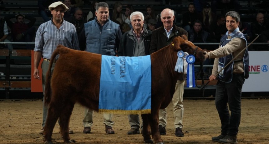 Expo Nacional de Angus Oto&ntilde;o: &ldquo;Calidad determinante para la invernada&rdquo; 