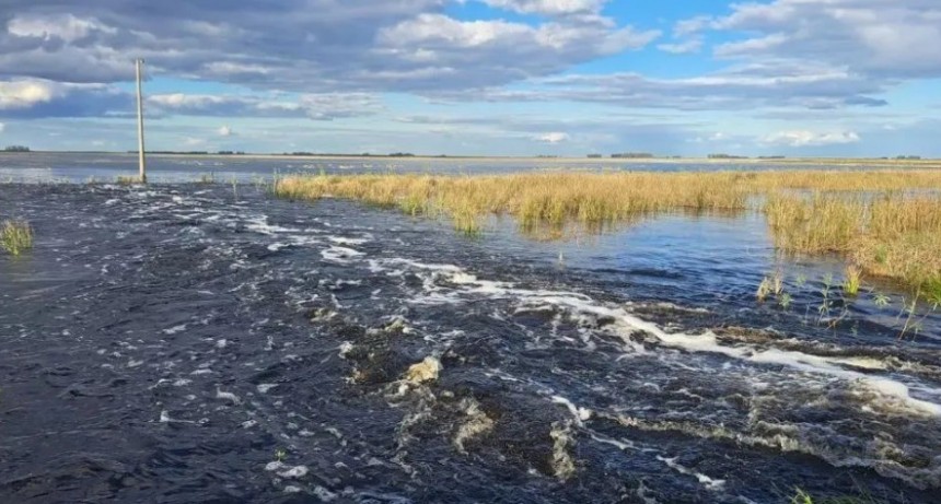 Bol&iacute;var fue incluido en la declaraci&oacute;n de emergencia agropecuaria 