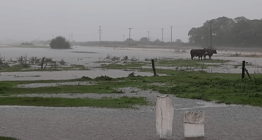 M&aacute;s lluvias y suelos saturados en el norte bonaerense