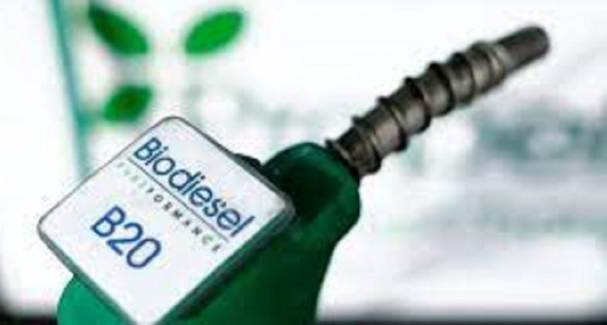 Gas Oil: mientras el abastecimiento es casi normal s&oacute;lo en Patagonia, elevan el corte de biocombustibles