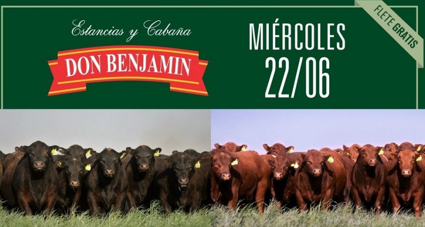 El mi&eacute;rcoles 22 se realiza el remate de Caba&ntilde;a " Don Benjam&iacute;n"