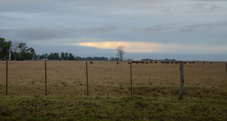 Un estudio revela que hay 3,7 millones de argentinos que viven del campo