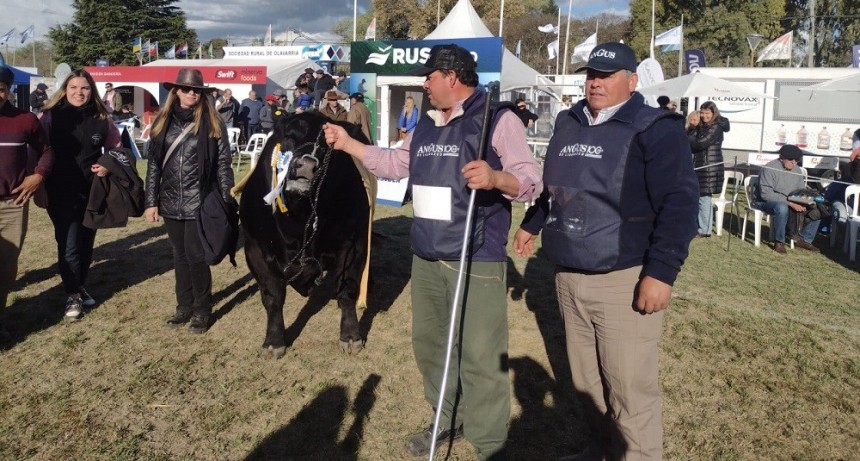 La Sociedad Rural de Olavarr&iacute;a ser&aacute; sede de la Exposici&oacute;n Nacional Angus de Primavera 2023