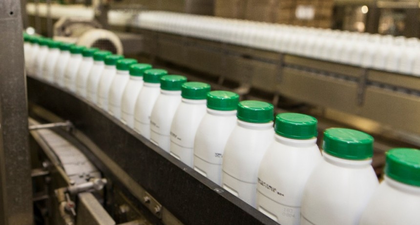 La prevenci&oacute;n de enfermedades en bovinos aporta calidad a la producci&oacute;n l&aacute;ctea argentina