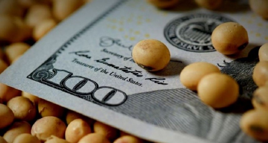 Finalmente, se super&oacute; el objetivo y el campo liquid&oacute; m&aacute;s de US$ 5.000 millones con el d&oacute;lar soja 3