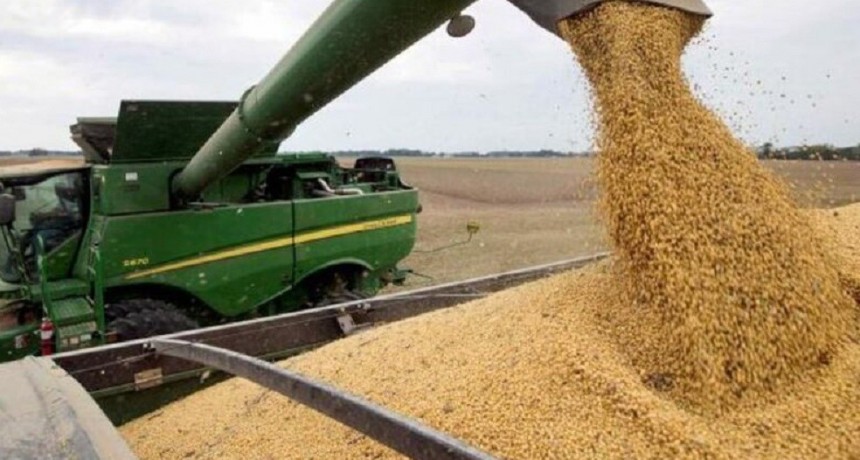 La liquidaci&oacute;n de exportaciones de cereales en mayo alcanz&oacute; a US$ 4.212 millones
