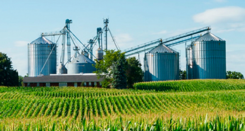 Alertan sobre m&aacute;s complicaciones en la Agroindustria para la segunda mitad del a&ntilde;o