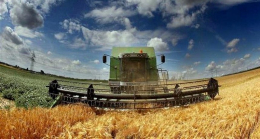 Seg&uacute;n un estudio, la eliminaci&oacute;n de la brecha cambiaria beneficiar&iacute;a m&aacute;s a los productores