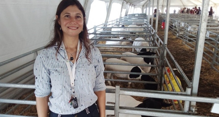 Agroactiva 2023: los lanares son una de las novedades de la muestra