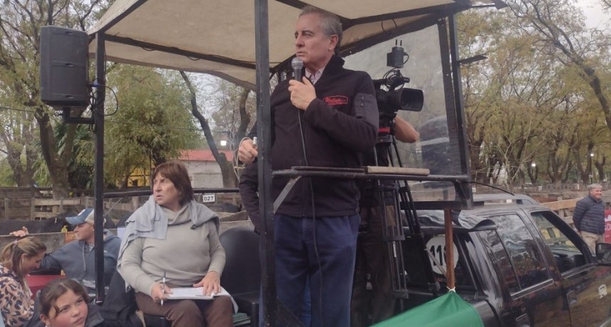 Ganader&iacute;a: la importancia de la clasificaci&oacute;n para elegir lotes de vacas sanas