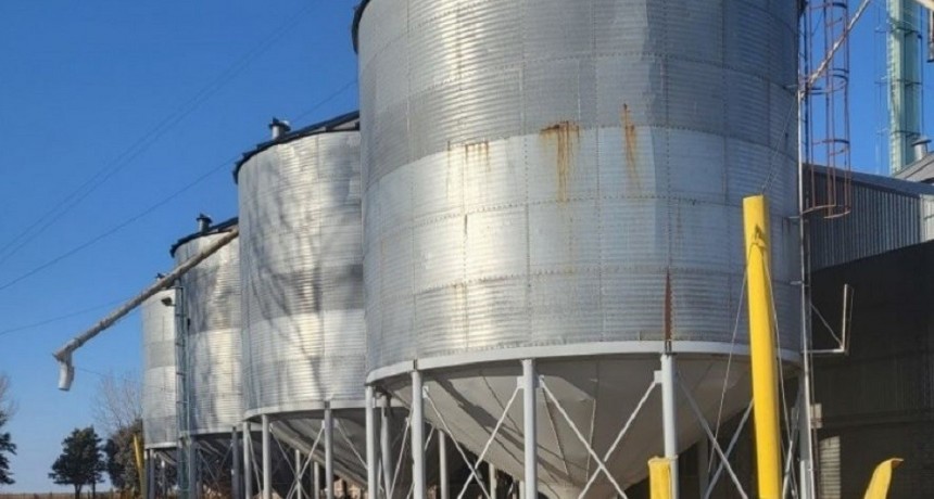 La AFIP detect&oacute; faltantes de granos por $188 millones en una planta de acopio en Bah&iacute;a Blanca