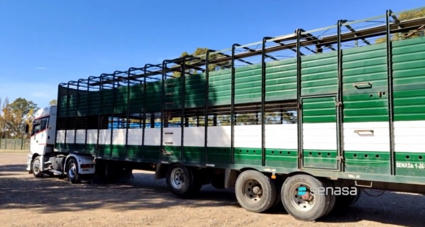 Inicia el Plan para verificar el estado de habilitaci&oacute;n de medios de transportes de animales