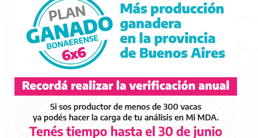 Culmina el plazo para adherirse a la segunda etapa del Plan de Erradicaci&oacute;n de ETS en bovinos