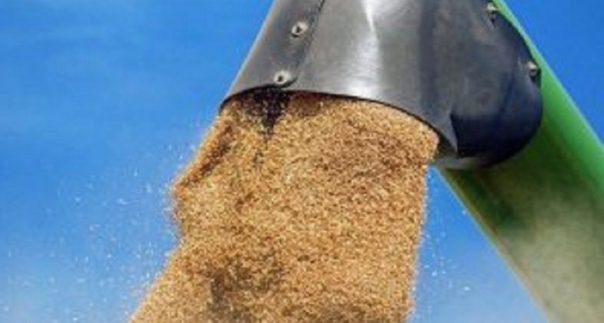 Proyectan mayor producci&oacute;n de granos con precios internacionales en baja