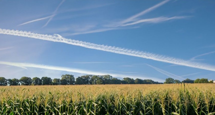 Azul: vecinos preocupados por los &ldquo;chemtrails&rdquo; expresaron su apoyo a la concejala Crisafulli