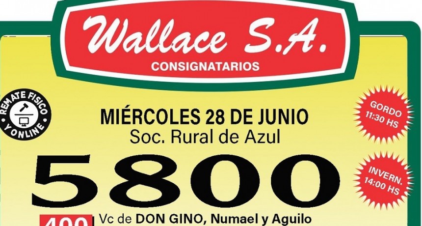 Este mi&eacute;rcoles se realiza el remate mensual de Wallace Hermanos