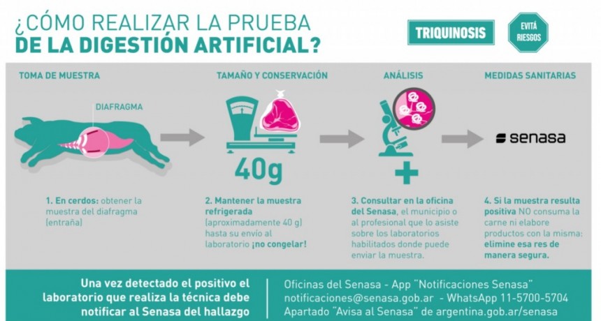 Triquinosis: principales medidas de prevenci&oacute;n para productores y productoras