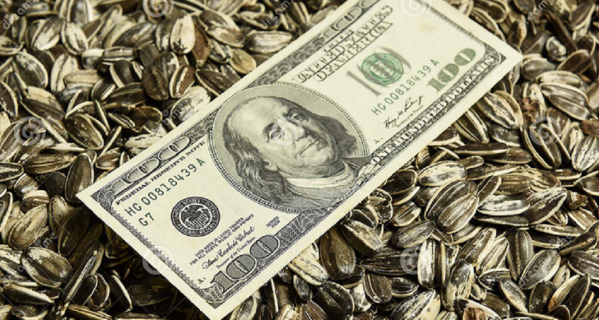 Establecieron un plazo de 90 d&iacute;as para registrar exportaciones de especialidades agr&iacute;colas que participaron del &ldquo;d&oacute;lar agro&rdquo;