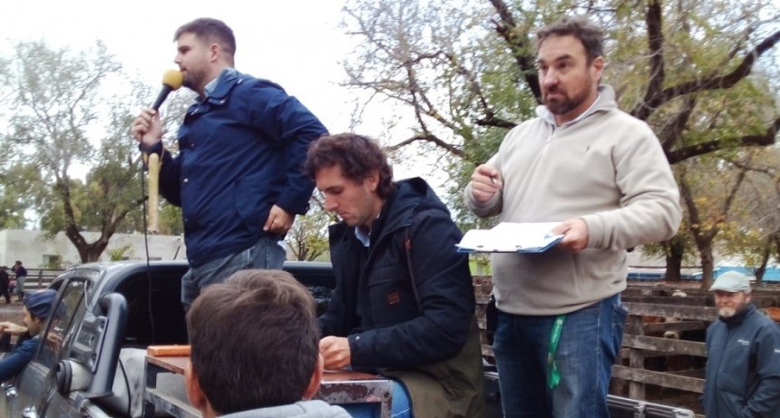 Este mi&eacute;rcoles se realiza un nuevo remate de Alfredo S.Mondino