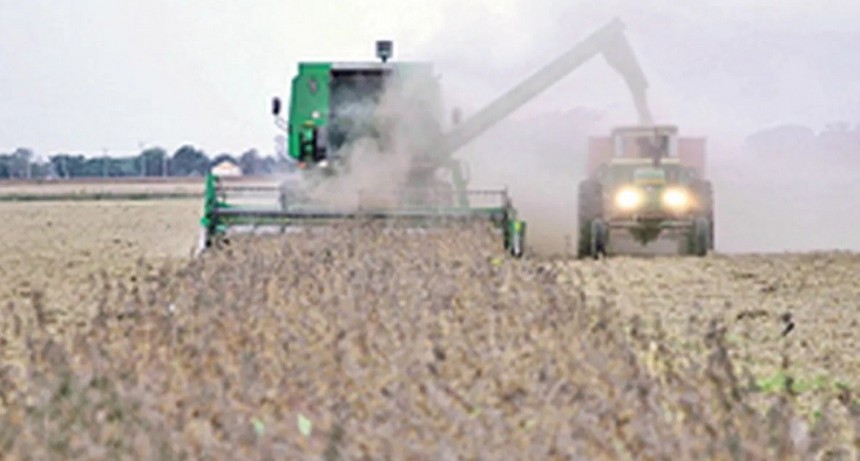 Efecto sequ&iacute;a: mientras caen las exportaciones agroindustriales, el estado aumenta su participaci&oacute;n en la renta agr&iacute;cola