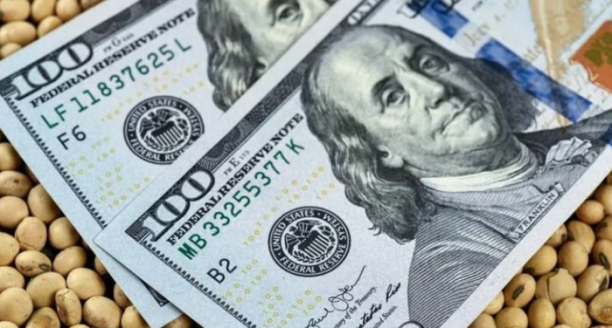 Datos de exportadores confirman demora en la liquidaci&oacute;n de la cosecha