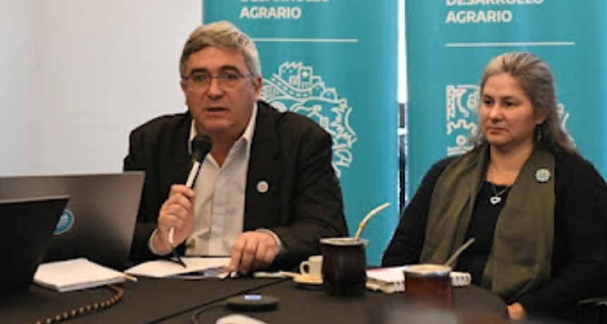 Javier Rodr&iacute;guez anunci&oacute; cr&eacute;ditos a valor producto para el sector ovino
