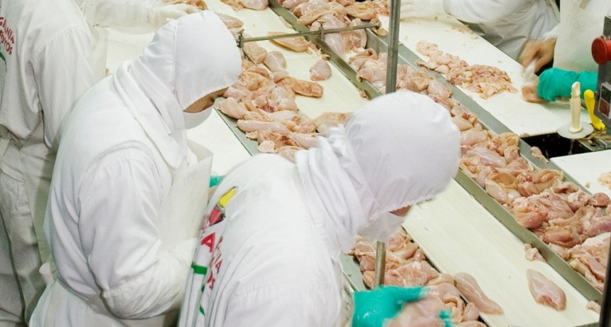 La Argentina retoma el comercio de productos de origen aviar con destino a Chile