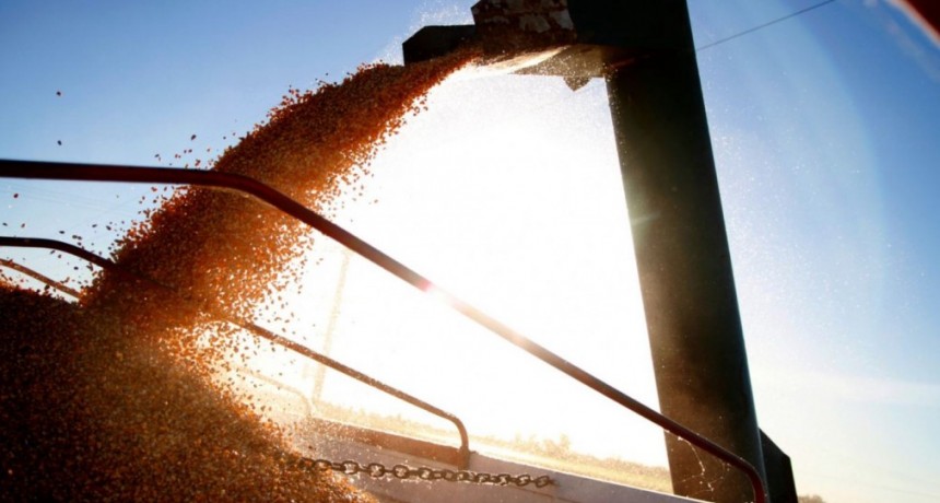 El Gobierno Nacional simplifica los requisitos para la exportaci&oacute;n de granos, carnes y l&aacute;cteos