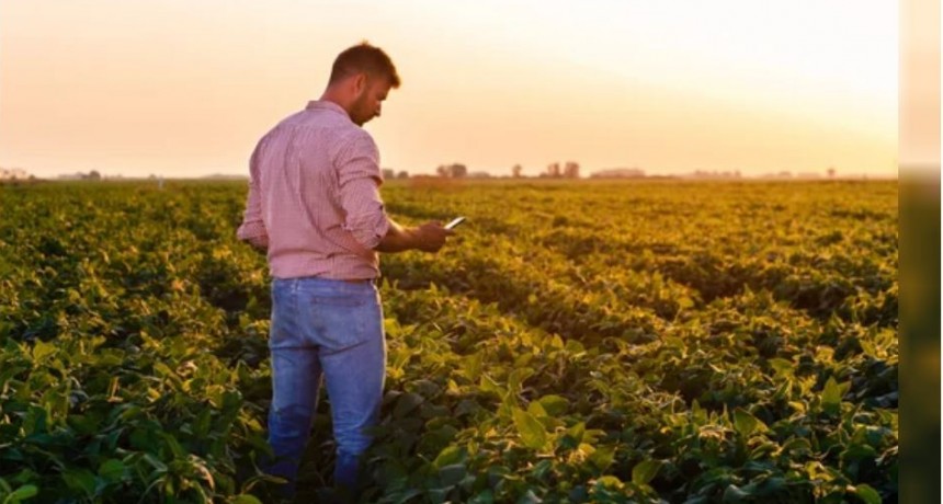 Lanzan una herramienta abierta y gratuita para que los productores agropecuarios puedan medir su huella de carbono