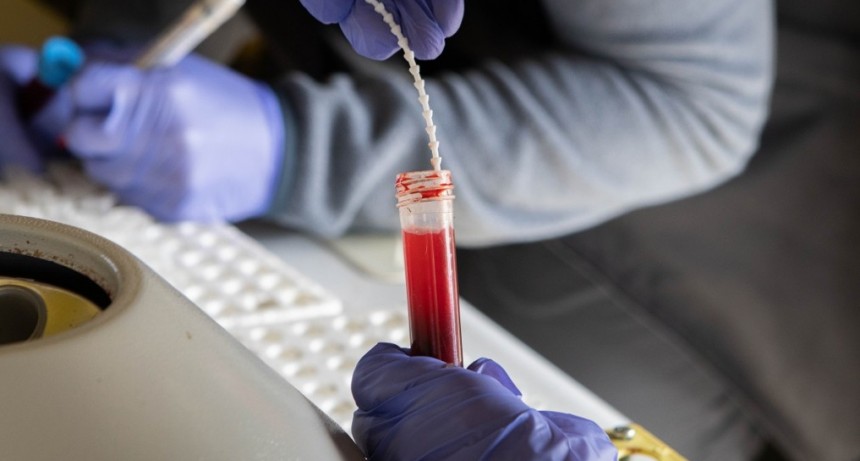 La vigilancia epidemiol&oacute;gica fortalece el estatus sanitario y la exportaci&oacute;n