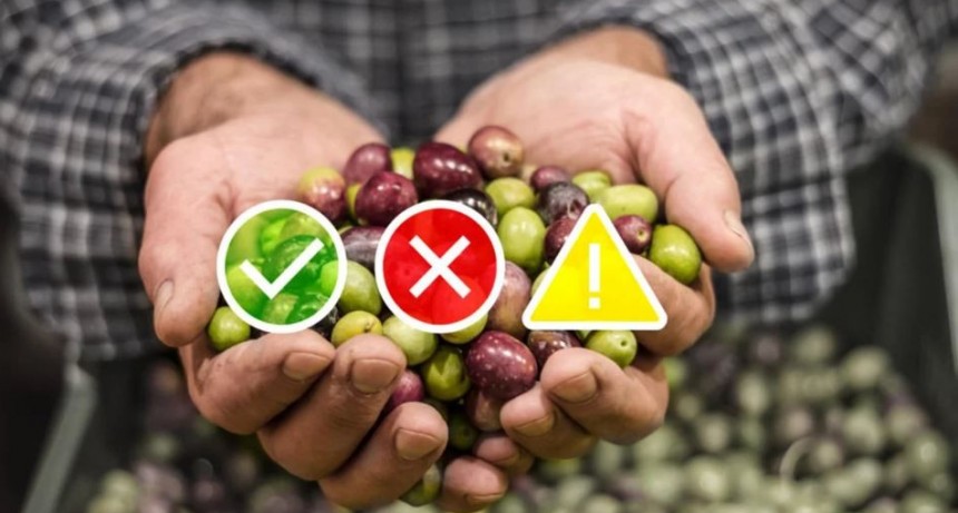 Inflaci&oacute;n: Coninagro revel&oacute; que muchas cadenas productivas empeoraron en el &uacute;ltimo tiempo