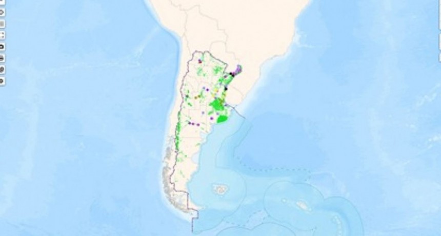 Lanzan una plataforma para acceder en l&iacute;nea a informaci&oacute;n forestal detallada