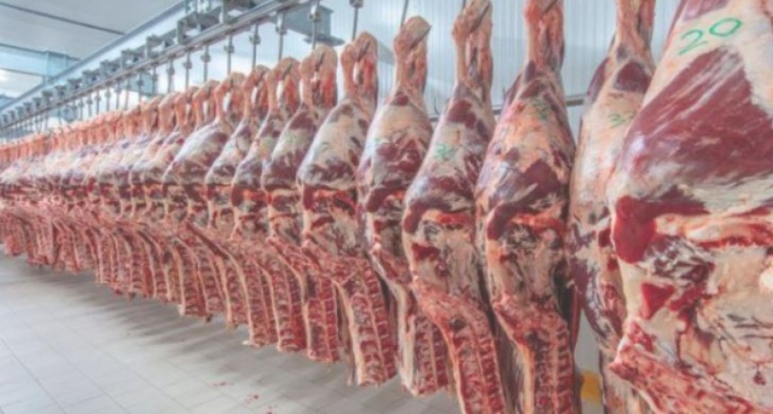 Inflaci&oacute;n lleva a m&iacute;nimos hist&oacute;ricos el consumo de carne en Argentina